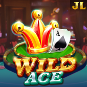 Wild Ace on Game Demo